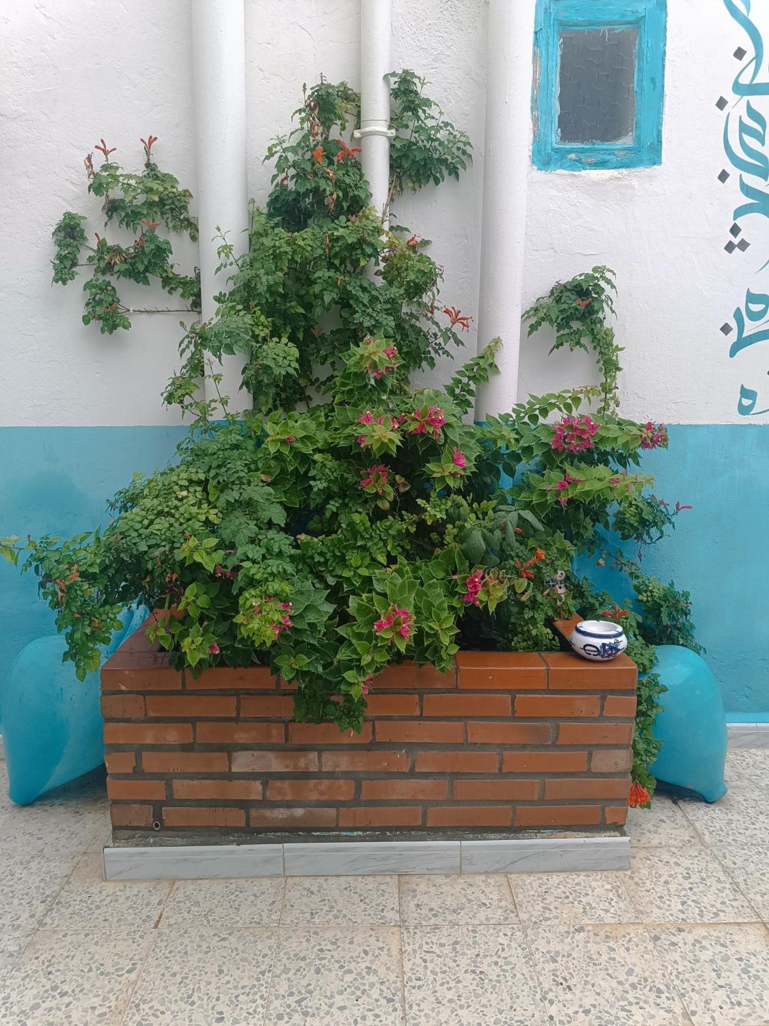 Dar Hkaiem Hotel Hammam Sousse Exterior foto